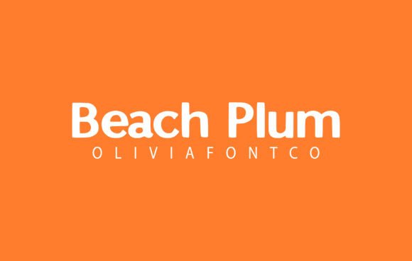 Beach Plum Font: A Handwritten Typeface for Modern Web Design