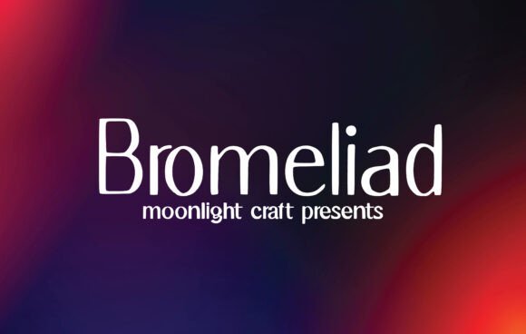 Bromeliad Font: The Perfect Handwritten Typeface for Crafters