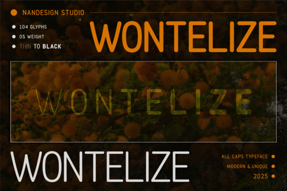 Wontelize Rounded: A Friendly Sans Serif Font for Web Design
